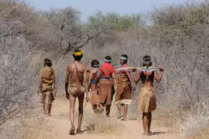 Bushman