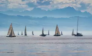 Regatta