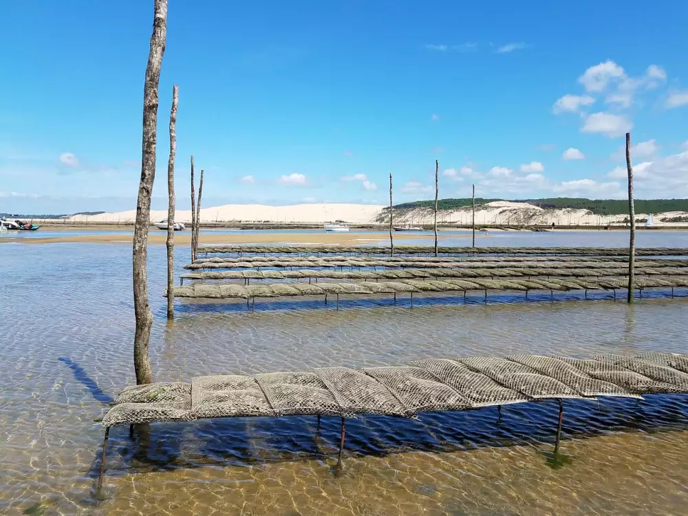 Akumulátorová Ruční Pila