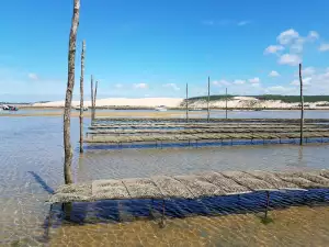Akumulátorová Ruční Pila